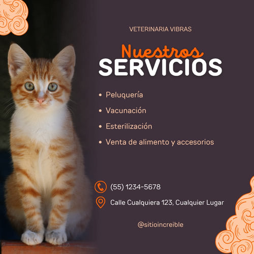 Pet Supplies